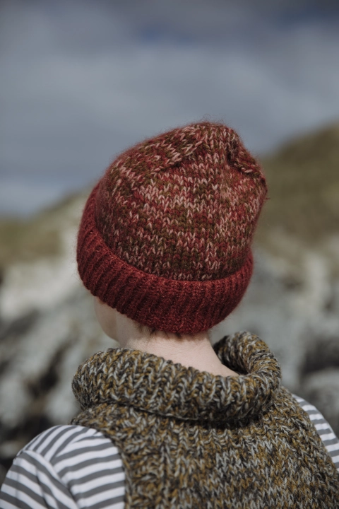 GudrunJohnston_ShetlandShades_Scord1.jpg