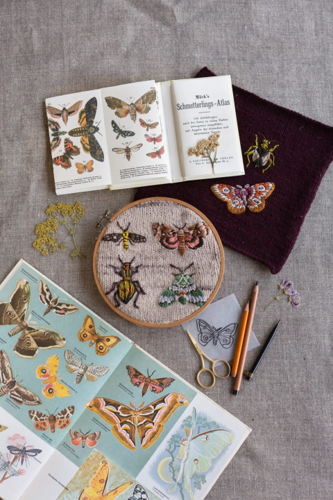 EmbroideryOnKnits_Moths and Beetles (1).jpg
