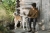 RonjaHakalehto_UnfoldingLandscapes_Roamer2.jpg