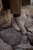 TheIslandandtheForest_Virvel_1.jpg