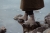 TheIslandandtheForest_Virvel_2.jpg